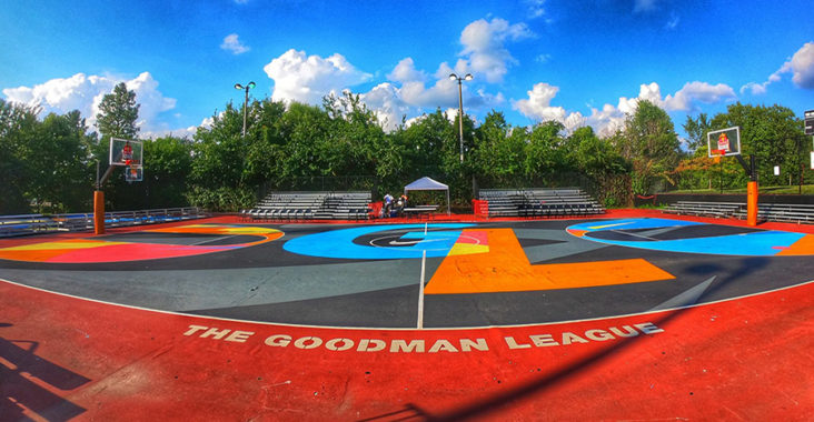 basketball journey the goodman league