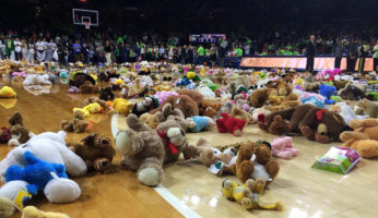 teddy bear toss