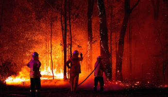 australia incendi