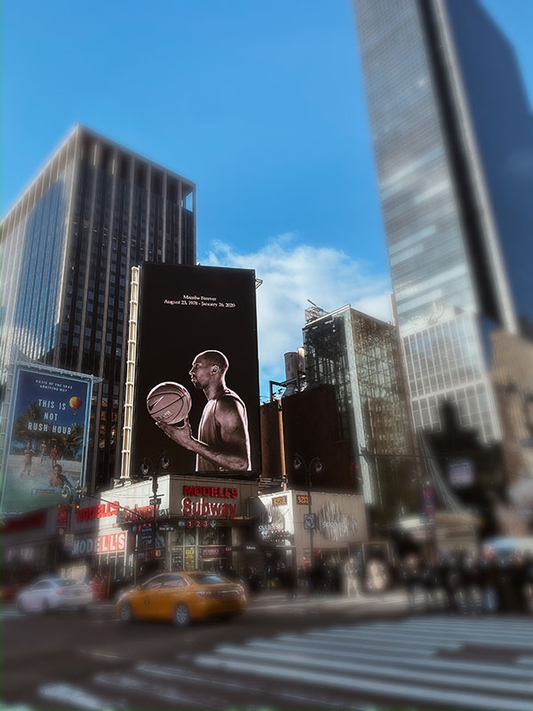 appleball new york madison square garden
