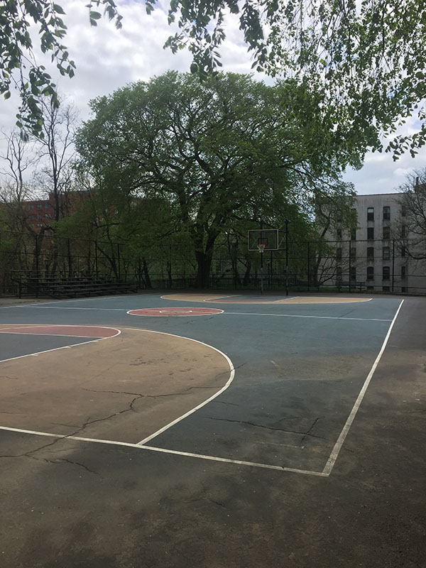 harlem playground