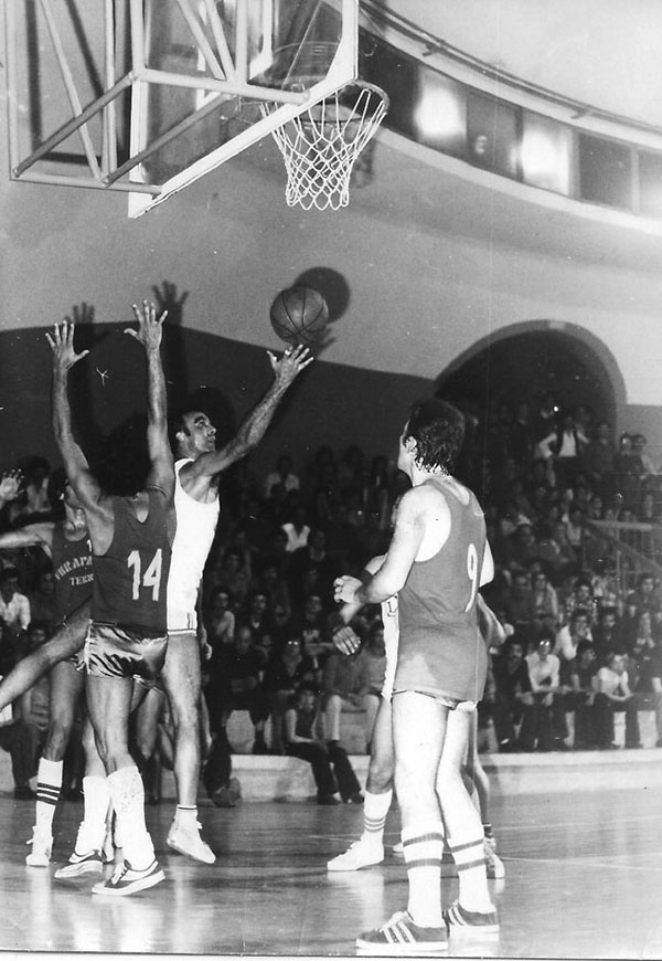 leo basket terni