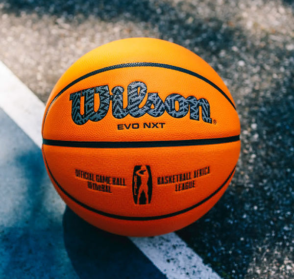 pallone wilson evo nxt africa